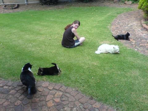 The whole family