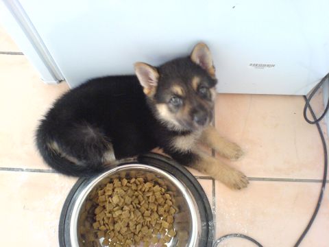 In the kitchen