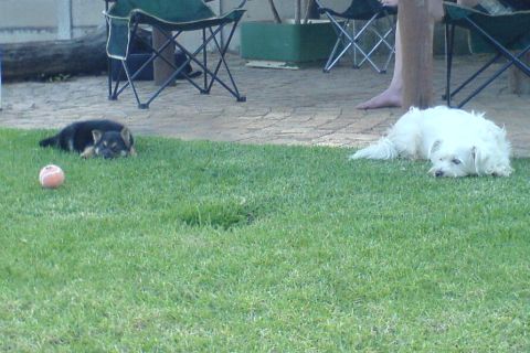 Sleeping on the grass
